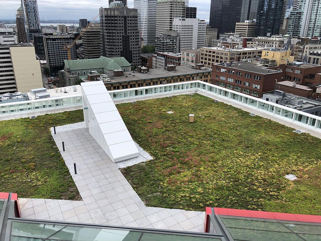 Solutions d<i>'</i>étanchéité pour jardins sur toit et toitures végétalisées